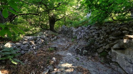 Sentier caladé.