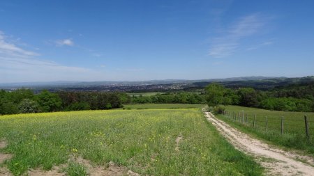 Vers la plaine du Forez.