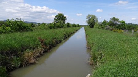 Canal du Forez.