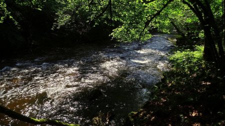 Petite boucle de la Dunière.