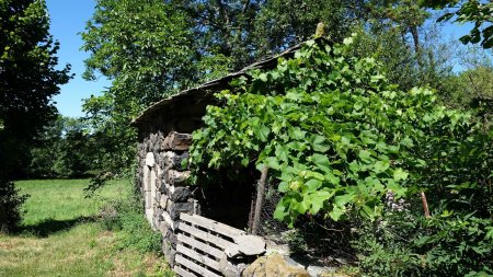 Cabane avec toiture en lauze