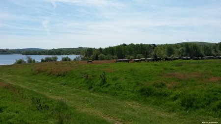 La presqu’île de Chassagnas