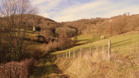 Remontée du vallon.