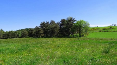 Dans le bois, l’ex aire d’accueuil de Prélager.