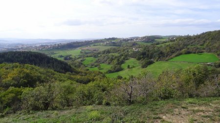 Vallée du Langonand.