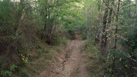 Descente par un chemin raide et raviné.