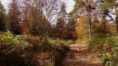 Au piquet, prendre le sentier à gauche.