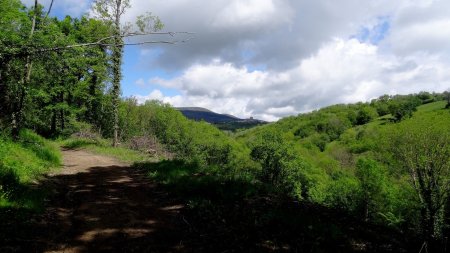 Sur la ligne du Train fantôme