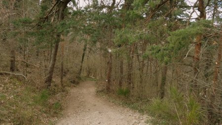 Raide descente dans les gorges de la Mare.