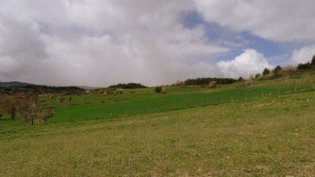 Giboulée en approche.