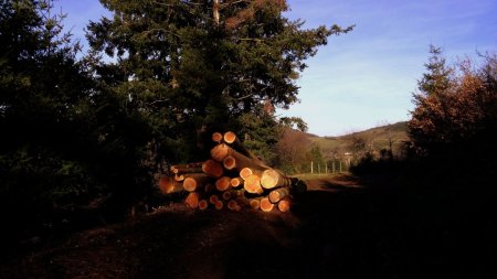 Un peu plus loin, avant de tourner à gauche