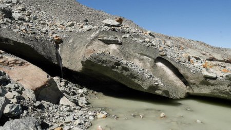 Au bord du glacier, sur sa rive droite.