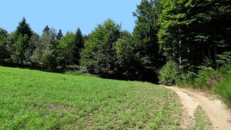 Prairies et forêts.