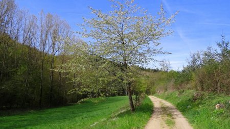 Vallon du Claveau.