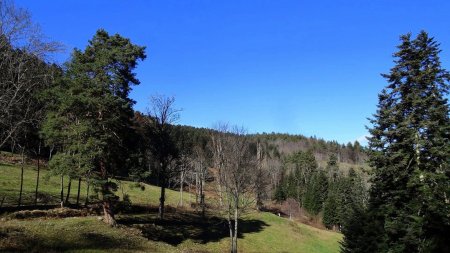 Vallon du Ris de Lapierre