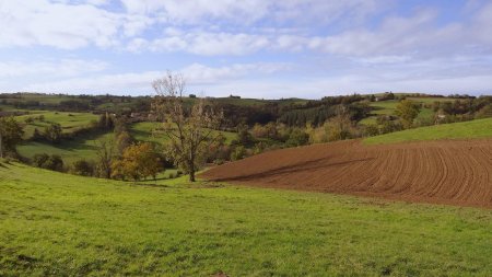 Val du Couzon.