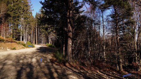 Sur les lieux du «plantage».