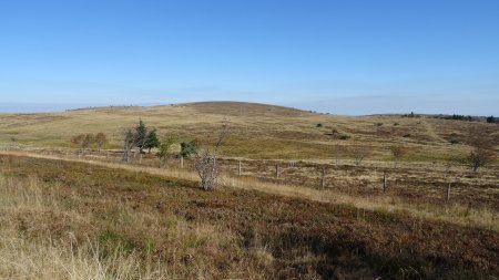 Le Chesseton ressemble au Puy Gros.