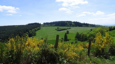 Vers le Bois de la Lienne.