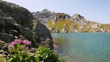 Laghi del Tachuy -  Lac n°3.