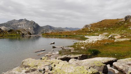 Laghi del Tachuy -  Lac n°7.