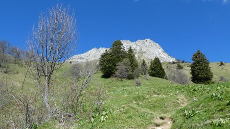 Sous le Colombier