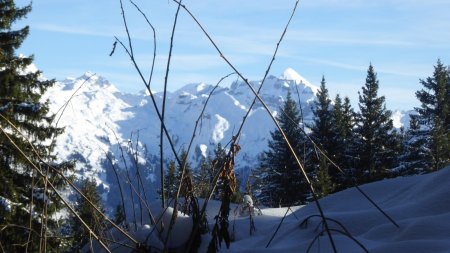 Dernier regard sur le haut Giffre 