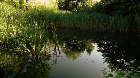 La Mare, alimentée en eau minérale gazeuse.