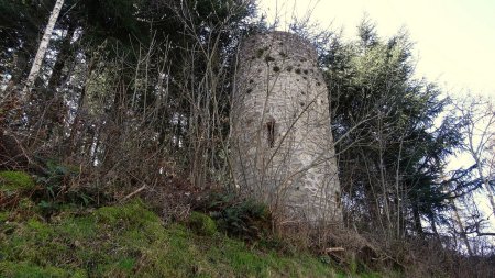 Vieille tour isolée.