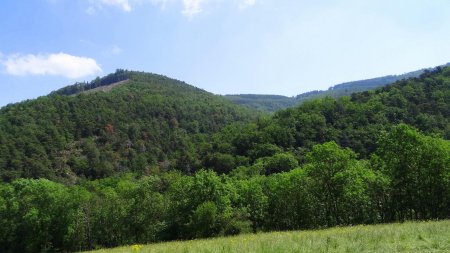 Dans le rétro.