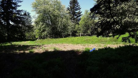 Jonction avec un chemin après le hors sentier.