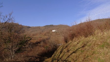 Le chemin de montée passe en lisière du bois au centre du cliché.