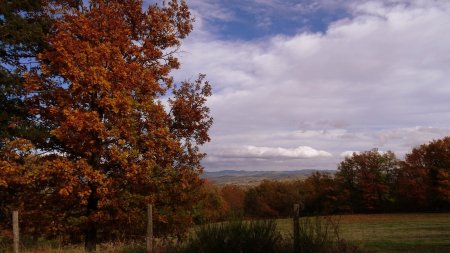 Vers le mont Boussuivre.