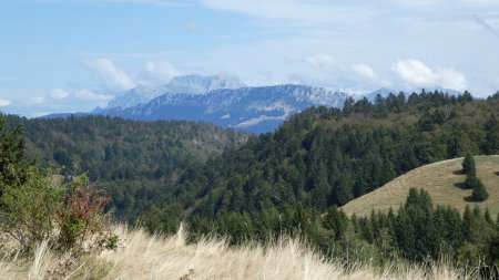 Zoom : La Tournette, le Roc des Boeufs 