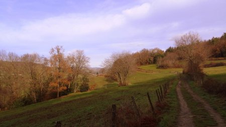 Sentier balcon en rive D du val de Coise.