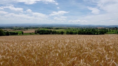 Panorama brumeux