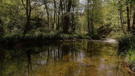 La Daronne.