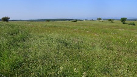 Sur le plateau avec des lointains brumeux.