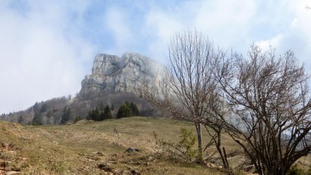 Sous la falaise