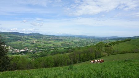 Vallée de la Brévenne.