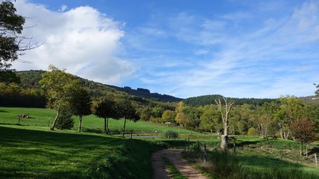 Vue arrière.