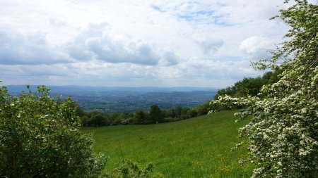 Mont Verdun.