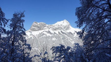 Dent de Pleuven, Trélod.