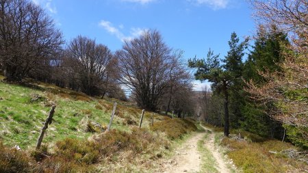 En direction de N.-D. de Renat.