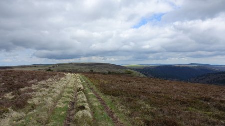 Hautes-Chaumes du Forez.