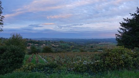 Vallée de la Saône.