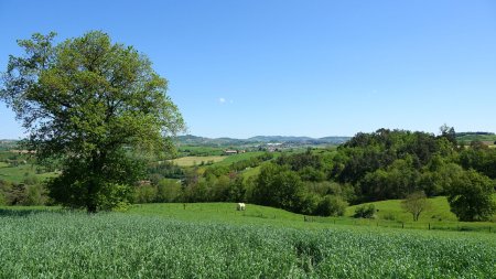 Vers Saint-Symphorien.