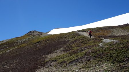 Sentier de la cime