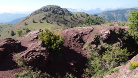 Tête de la Madeleine dans le rétro