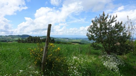 En repartant vers la Fromenterie.